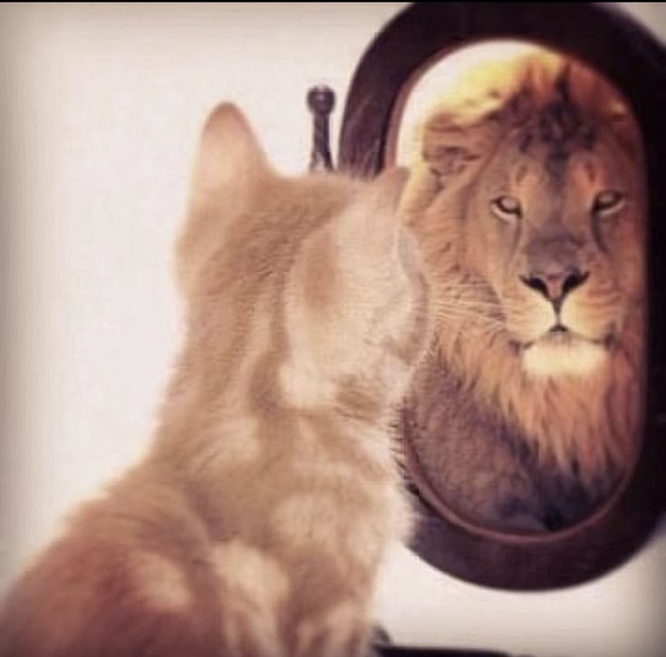 Kitten Thinks Lion